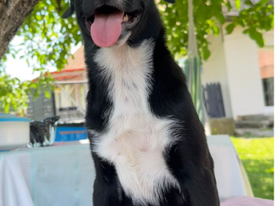 Xena
